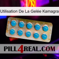 Utilisation De La Gelée Kamagra new09